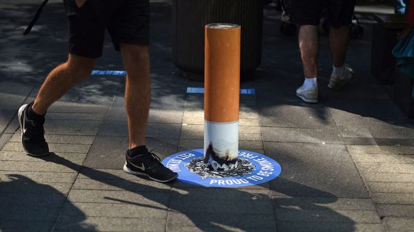 More than a third of cancers arise from preventable risks image