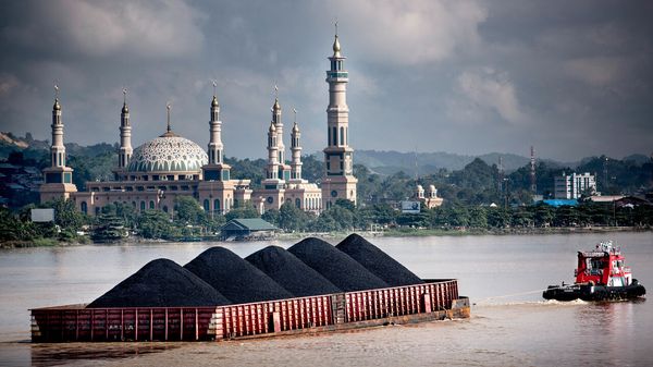 Coal is back in fashio image