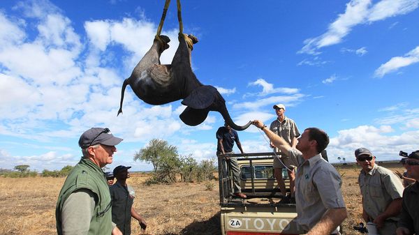 A deadly conflict in Malawi raises questions about conservatio image