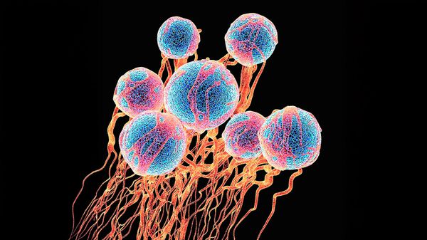 Will one-stop blood tests for cancer save lives? image