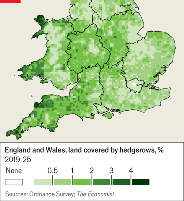 Why the British government is spending more on hedgerows image
