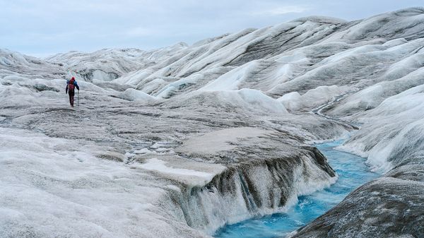 Should the Arctic be refrozen? image