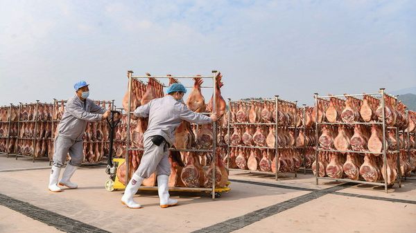 China’s huge pork industry is a victim of its own success image