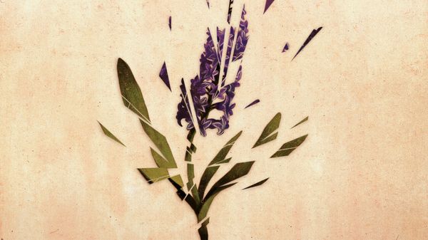 Each year tens of thousands of Americans accidentally kill image