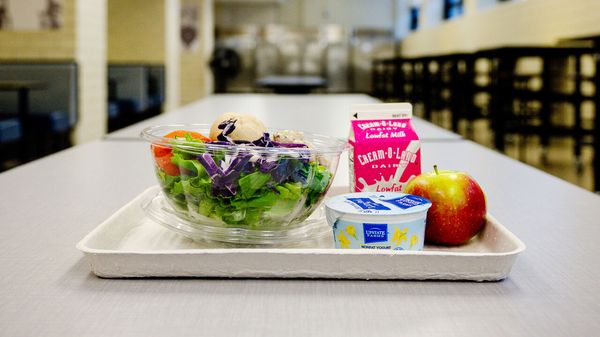 States are embracing the MAHA food agenda image