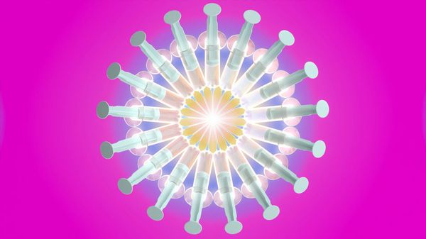 Scientists are working on &ldquo;everything vaccines&rdquo; image