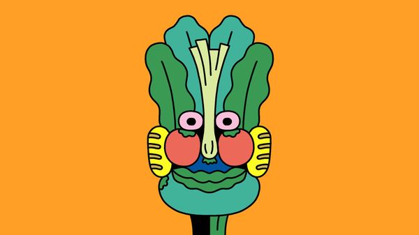 Should you be fibremaxxing? image