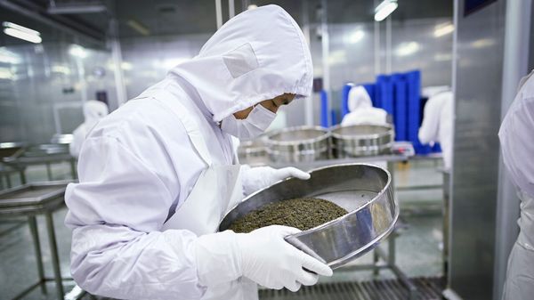 China now fills the world&rsquo;s luxury hampers image