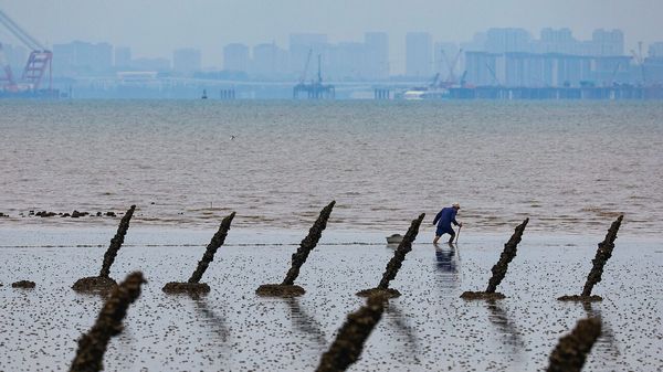 Does the Iran war increase the risk of a Chinese attack on Taiwan? image