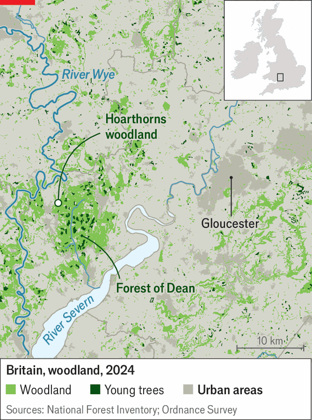 Trees are spreading in one of Europe&rsquo;s least forested countries image
