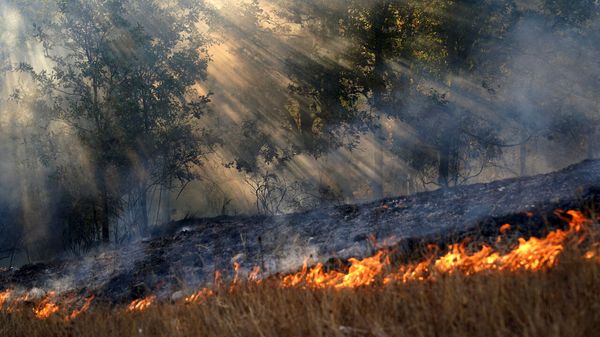 Hotter still, and hotter image