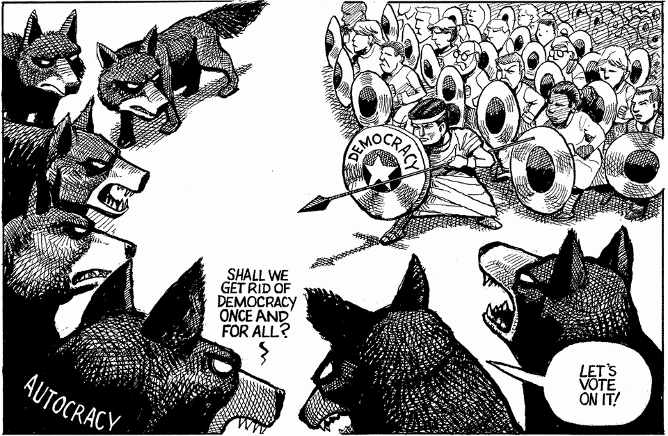 Cartoon: Democracy v autocracy image